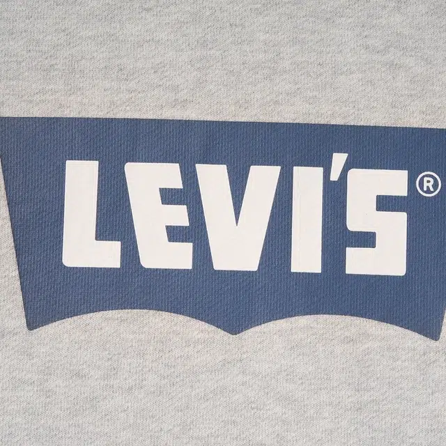 levis FW24 logo