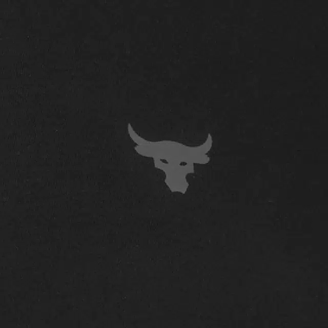 Under Armour Project Rock T