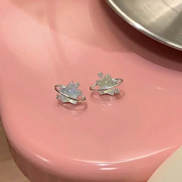 CARAT'SDIARY