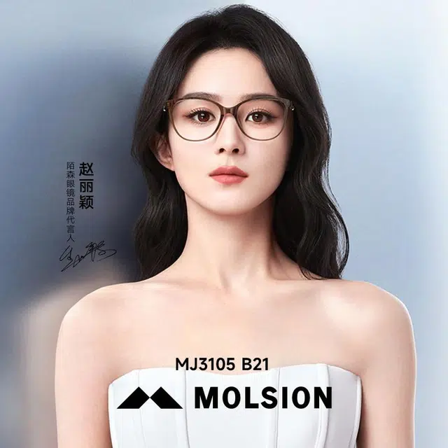 MOLSION