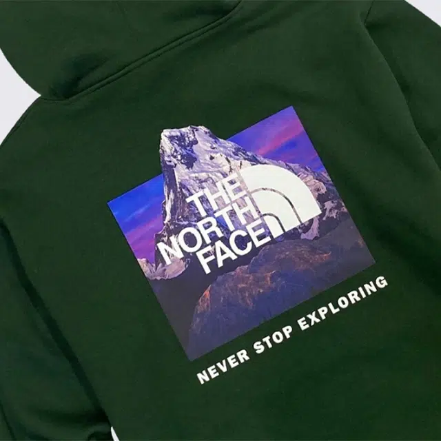 THE NORTH FACE Logo