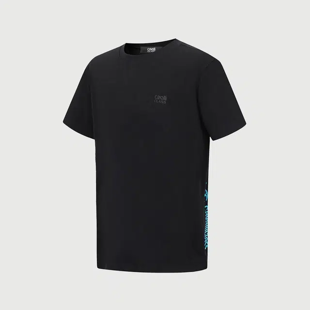 Cavalli Class T
