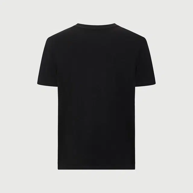 Cavalli Class T