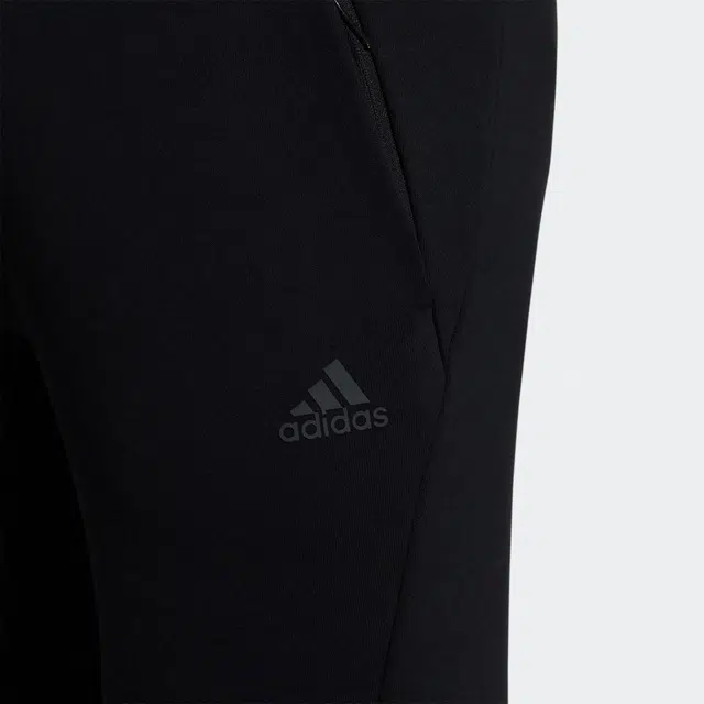 adidas Lion Dance Pt