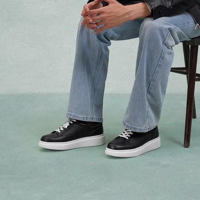 THOM WILLS trainer