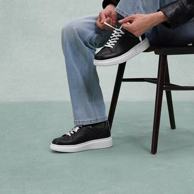 THOM WILLS trainer