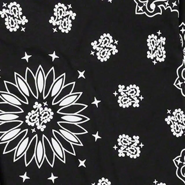 Supreme FW22 Week 1 x Hanes Bandana Tagless Tees T 2