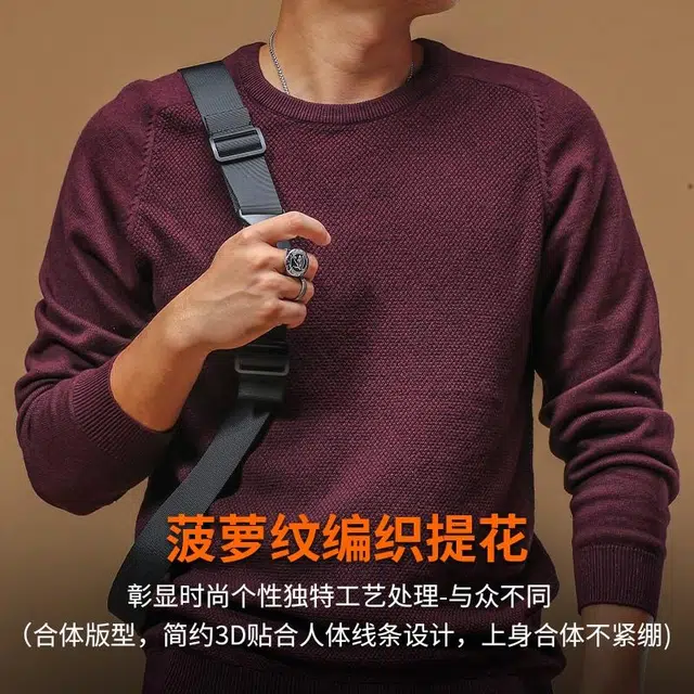 季言 美式复古圆领修身菠萝纹编织提花保暖针织衫 男款