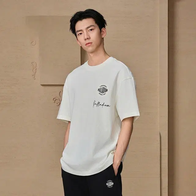 Palladium T