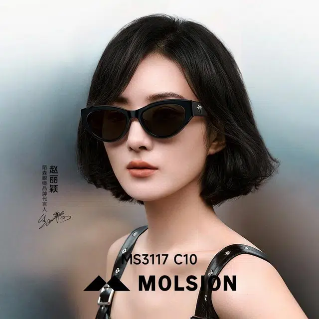 MOLSION