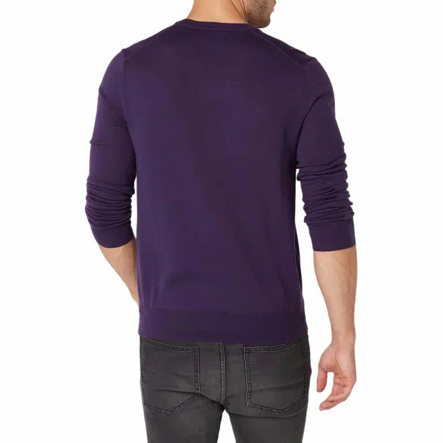 Polo Ralph Lauren LogoV