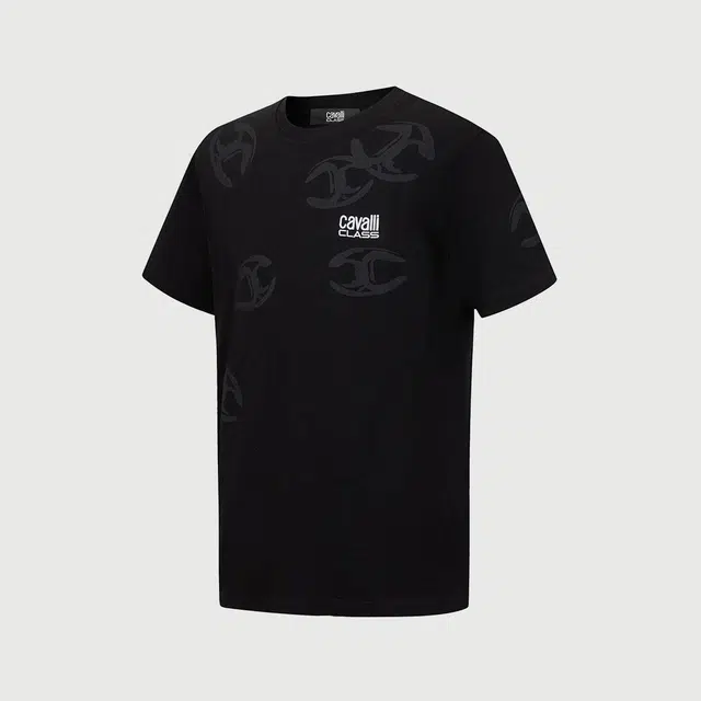 Cavalli Class T