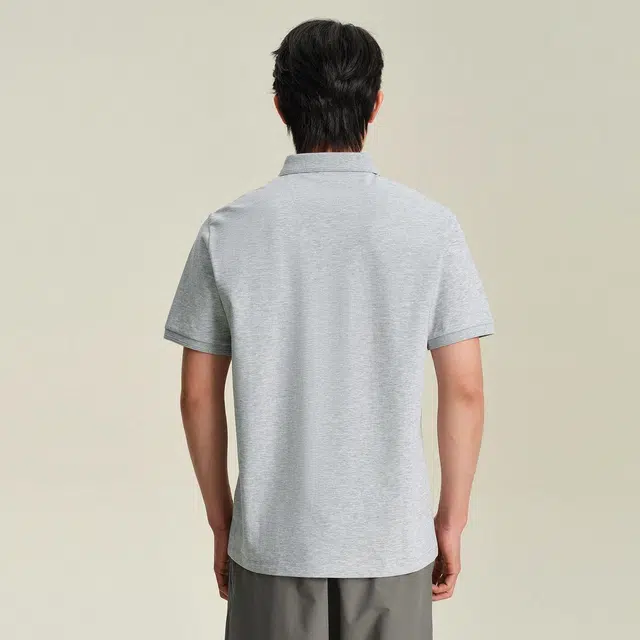 HLA POLO