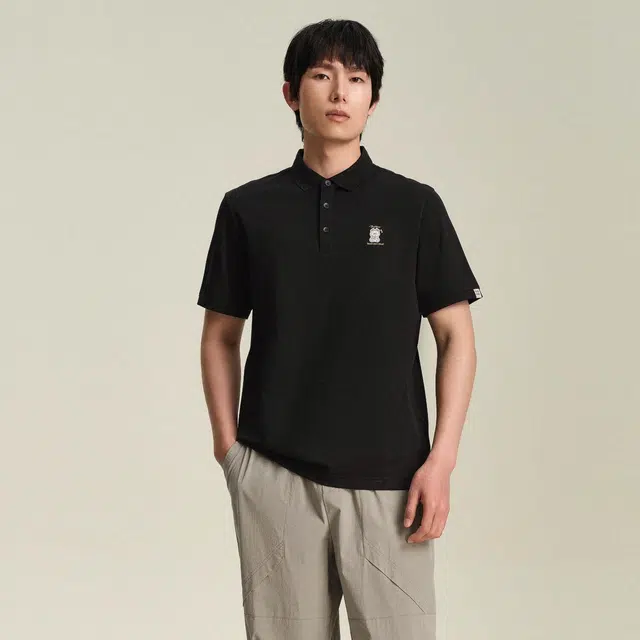 HLA polo