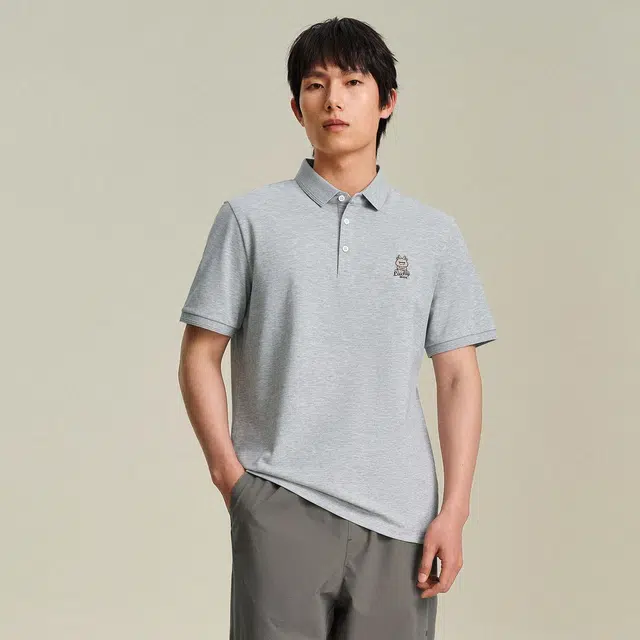 HLA POLO