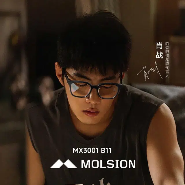 MOLSION