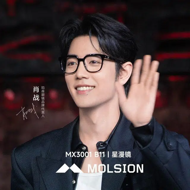 MOLSION