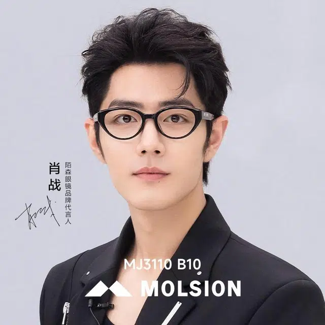 MOLSION