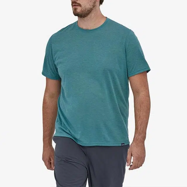 patagonia T