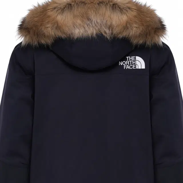 THE NORTH FACE Futurelight Defdown Logo550