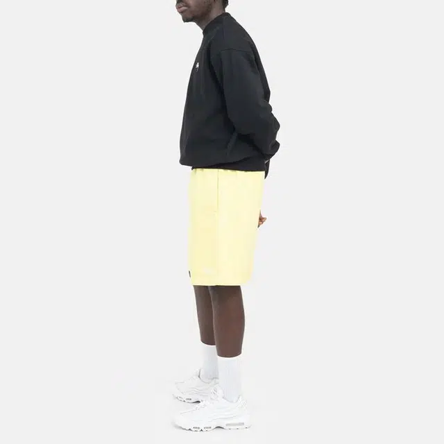 Stussy SS22 Loose Twill Mountain Short