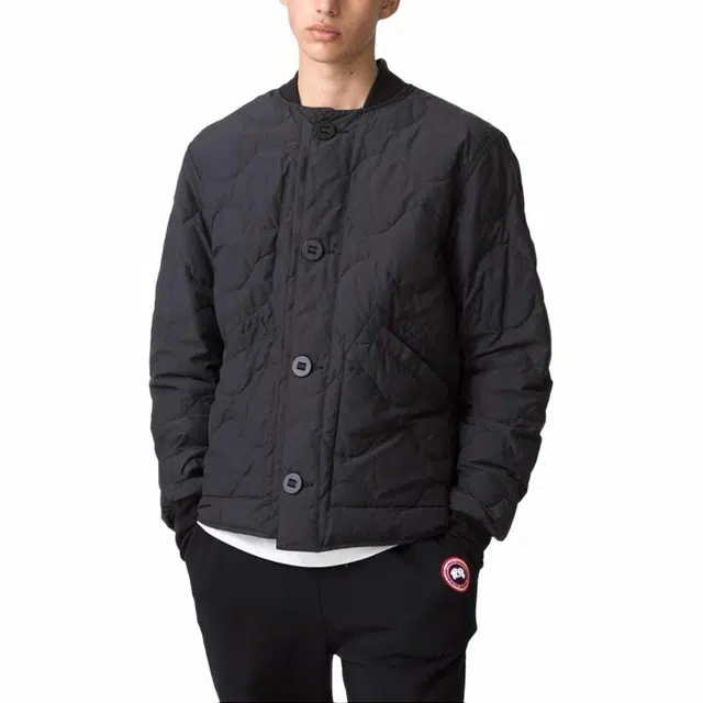 Canada Goose