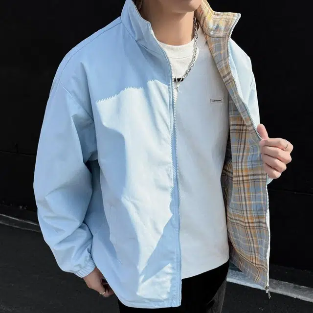 VIPGOOSE