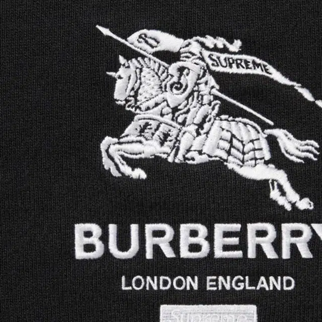 Supreme SS22 Week 3 x Burberry Rugby LogoPolo