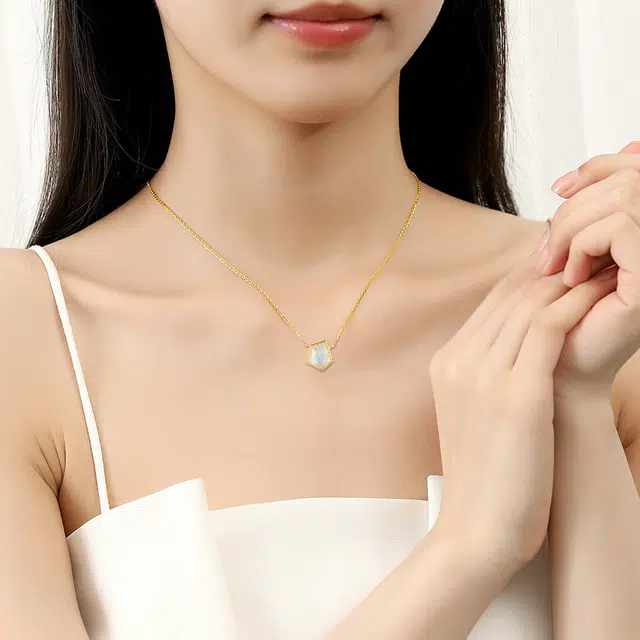 ins S925
