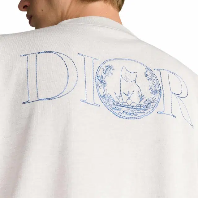 DIOR T