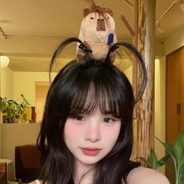 丹琴 可爱卡皮巴拉搞怪头箍架搞笑公仔巴发卡 树脂 发箍 女款