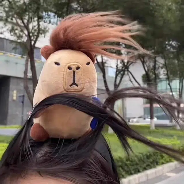 丹琴 可爱卡皮巴拉搞怪头箍架搞笑公仔巴发卡 树脂 发箍 女款
