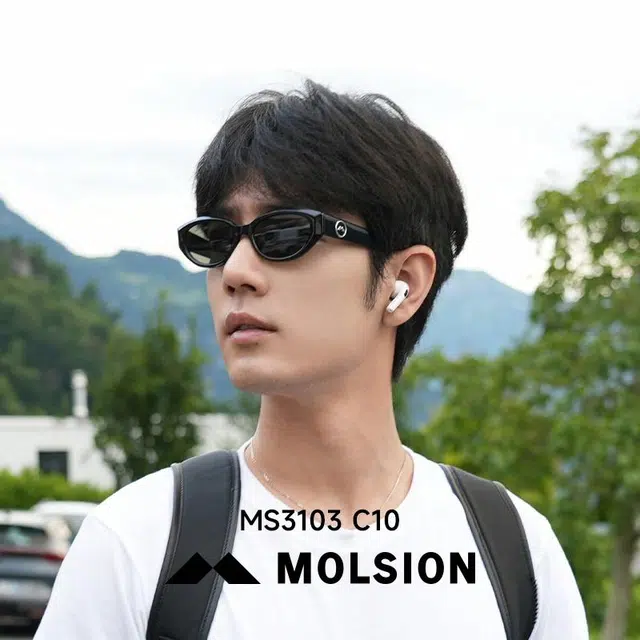 MOLSION
