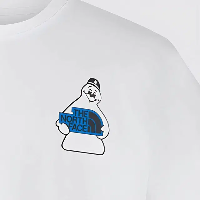 THE NORTH FACE T