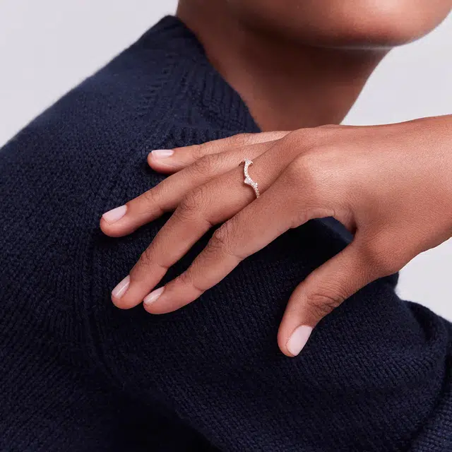 DIOR Bois de Rose 18K