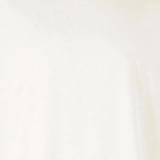 ISSEY MIYAKE T