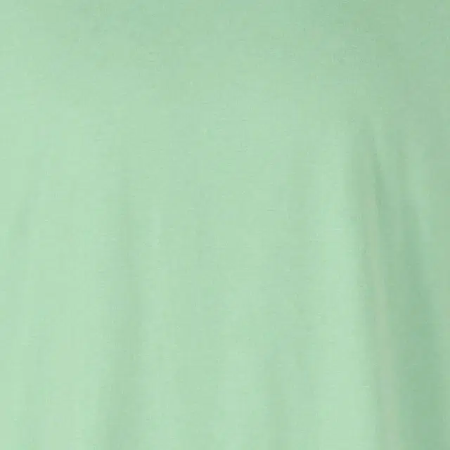 ISSEY MIYAKE T