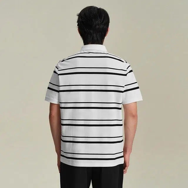 HLA POLO