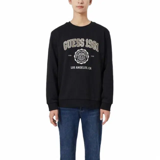 GUESS T