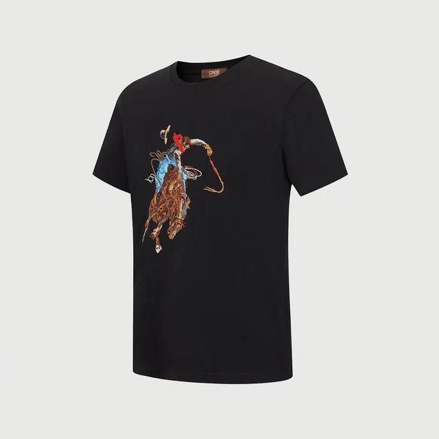 Cavalli Class T