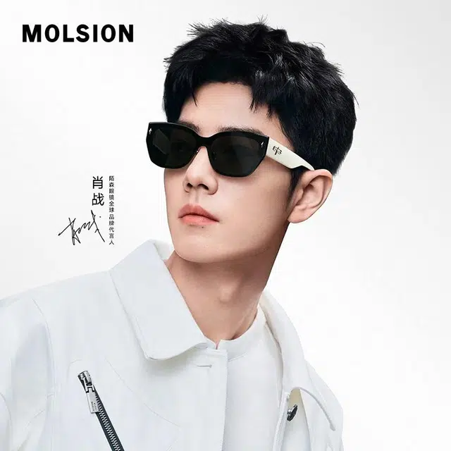 MOLSION