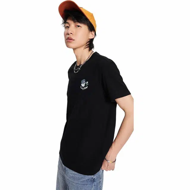Lee T