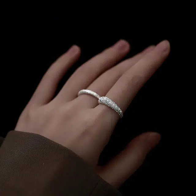 zoo jewel S925