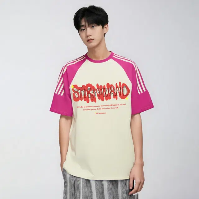 STIRNWAND LogoT