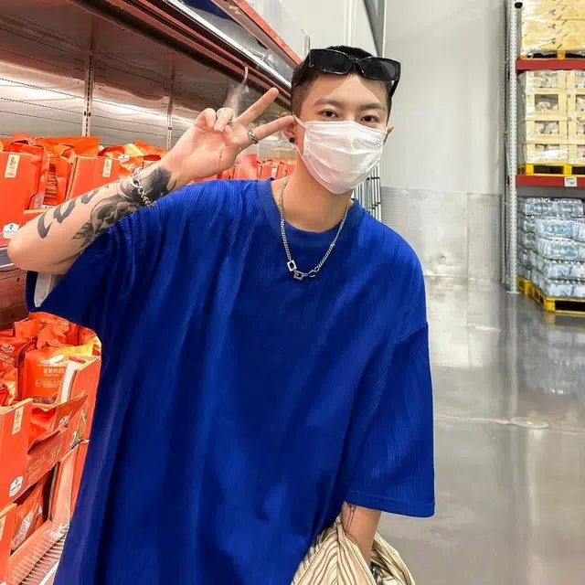 VIPGOOSE insT
