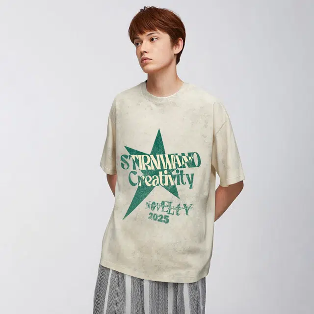 STIRNWAND logoT