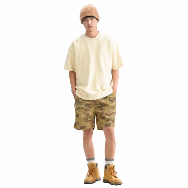 TD JOJO T