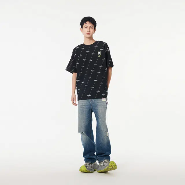 HIPANDA T