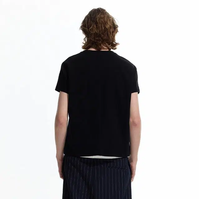 WHISTLEHUNTER T
