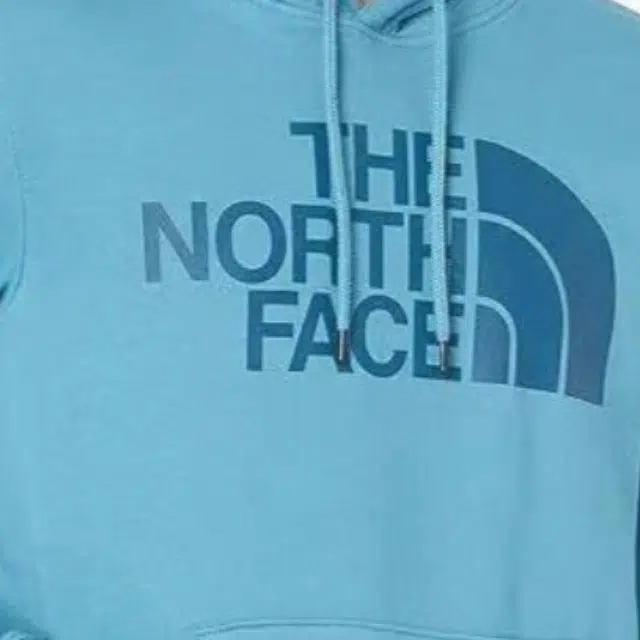 THE NORTH FACE Men's Half Dome Pullover Hoodie Logo